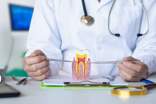Best Dentist for Tooth Abscess  in Red Lick, TX